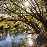 Alojamento de Acomodação e Pequeno-almoço Le Lion D'or En Perigord 4*