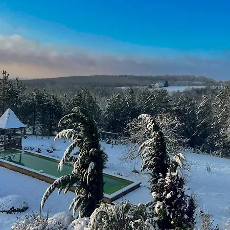 Le Lion D'or En Perigord 4*