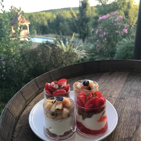Panzió Le Lion D'or En Perigord